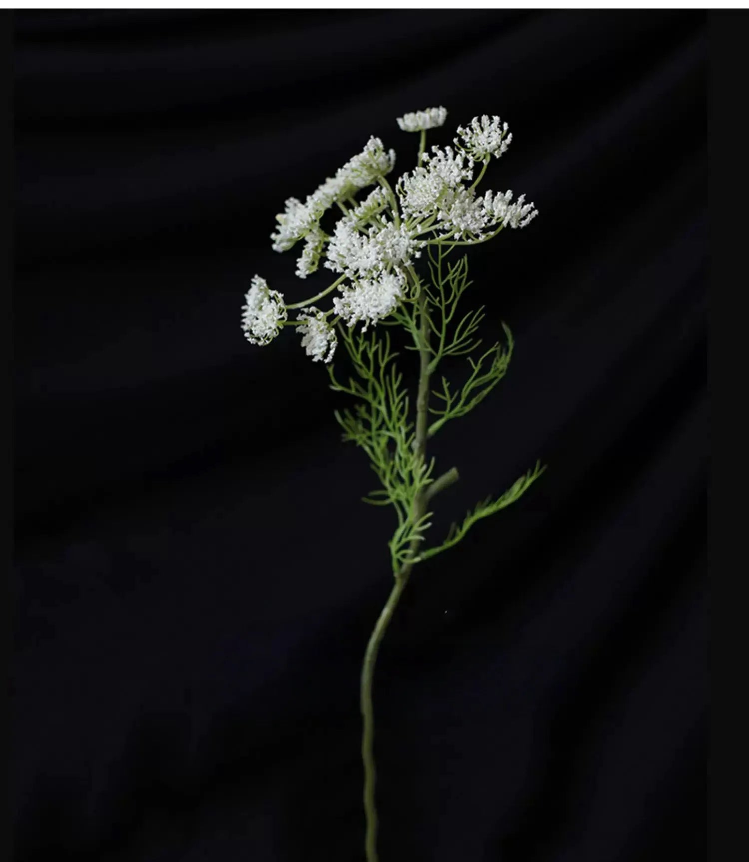 フェイクホワイトクイーンアンレース – 65 cm