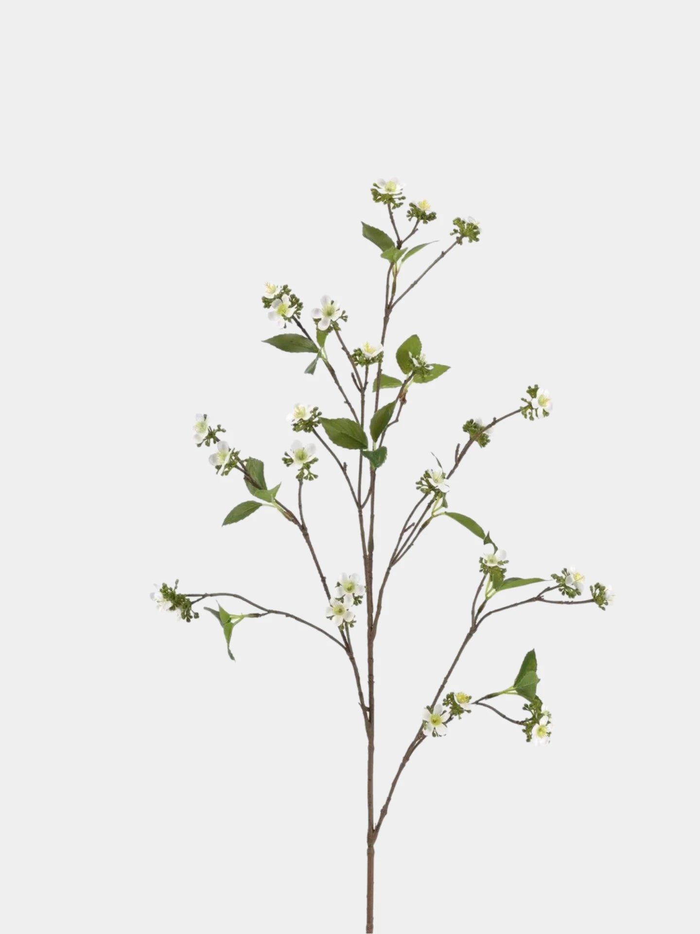 Faux Wild Rose Myrtle Spray – 39"/100cm