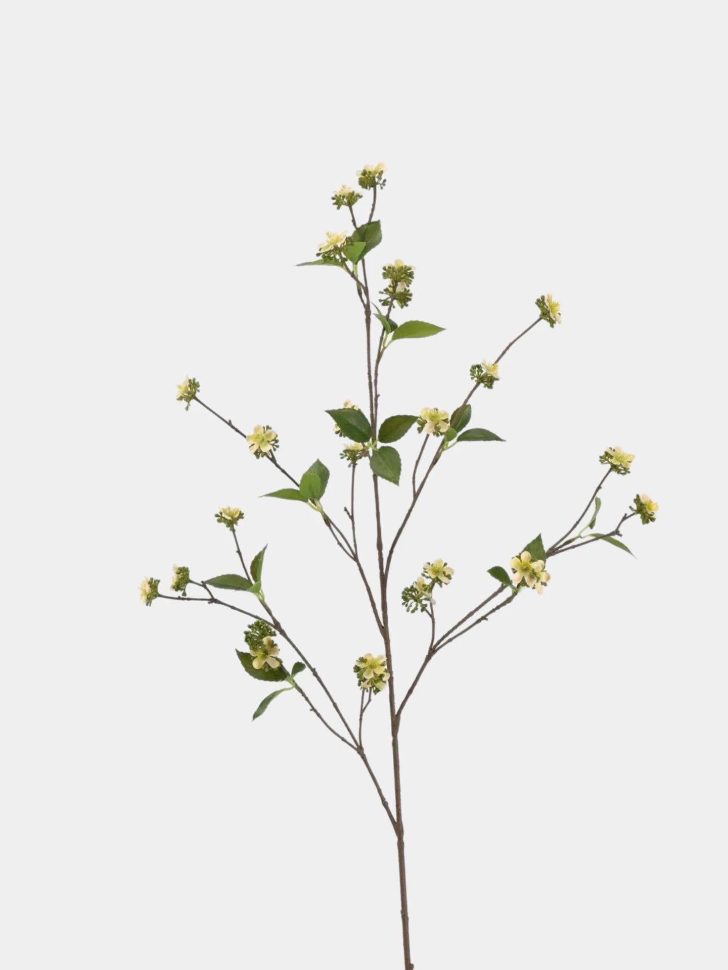 Faux Wild Rose Myrtle Spray – 39"/100cm