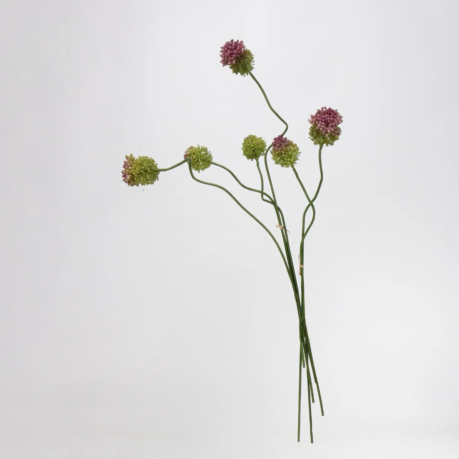 Faux Small Allium Bulbs – Green 27.7"