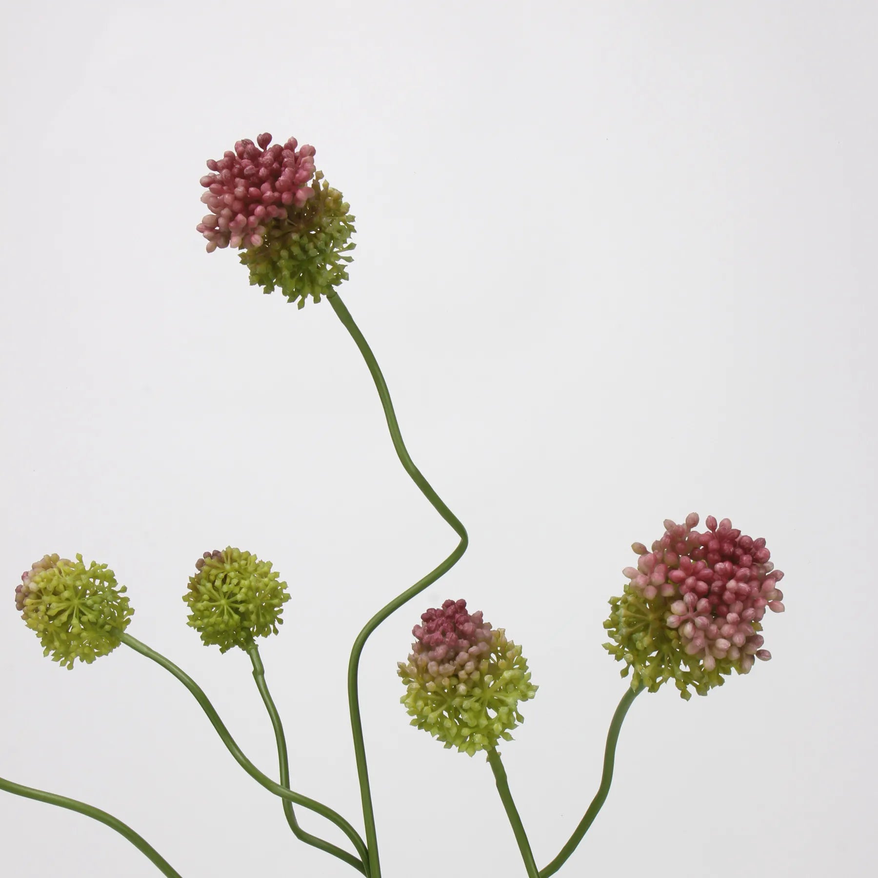 Faux Small Allium Bulbs – Green 27.7"
