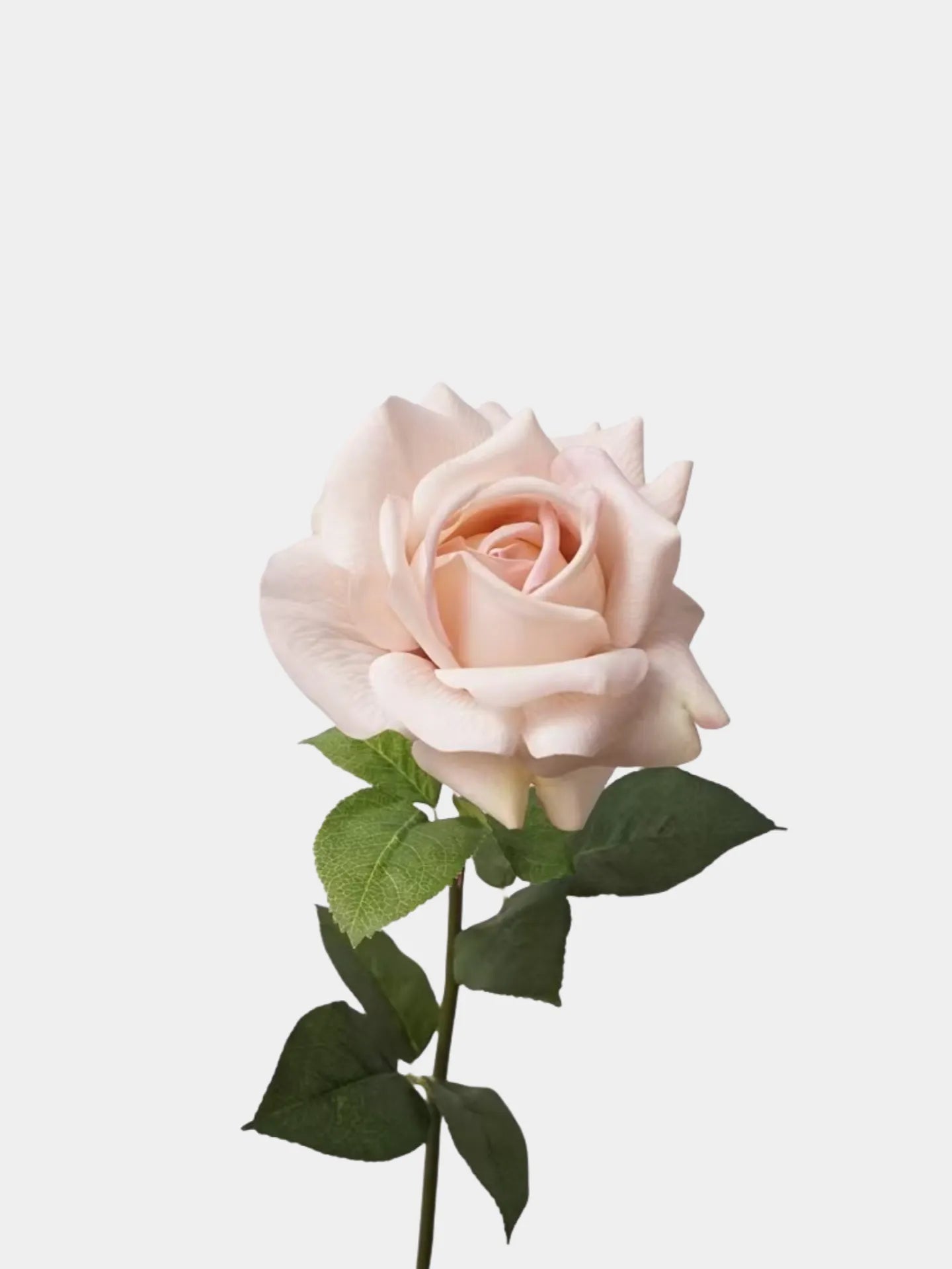 
Künstliche Blumen, echte Berührung Rose in Pfirsichrosa -28"