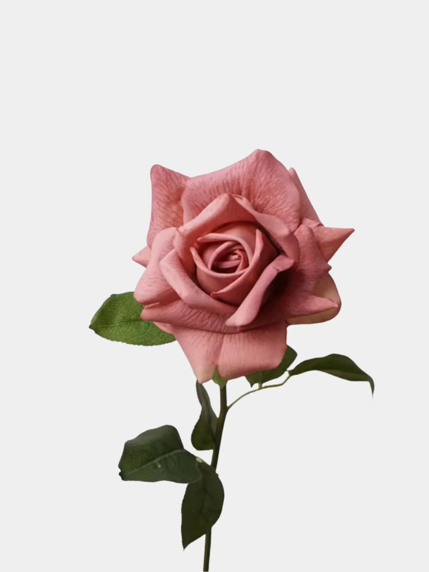 
Künstliche Blumen Real Touch Korallenrose -28"