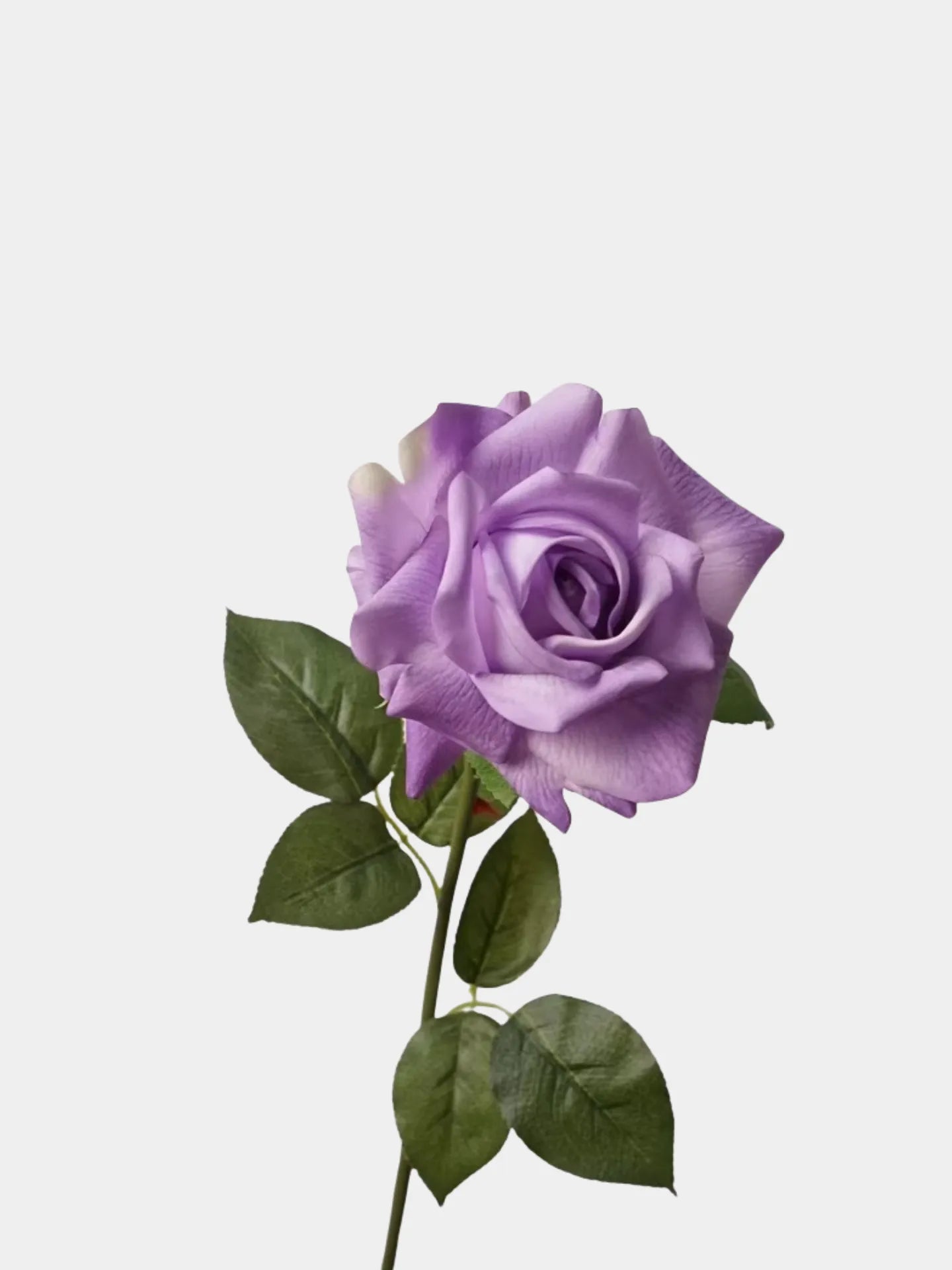 リアルタッチ人工バラ（パープル）-28インチ