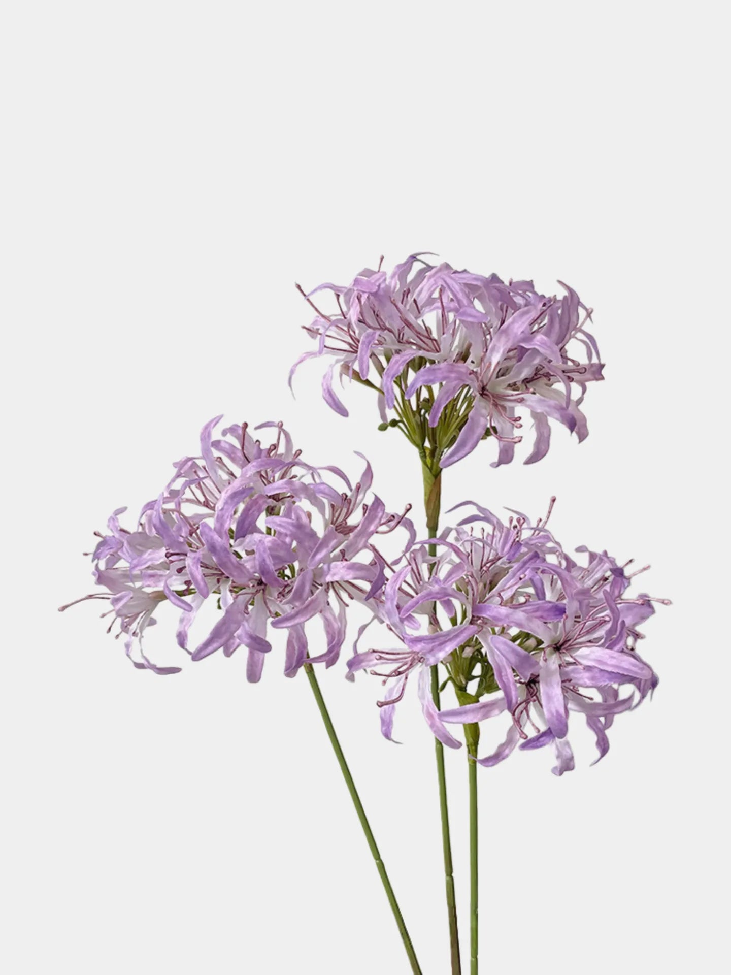 Faux Moonlight Star Agapanthus -31"