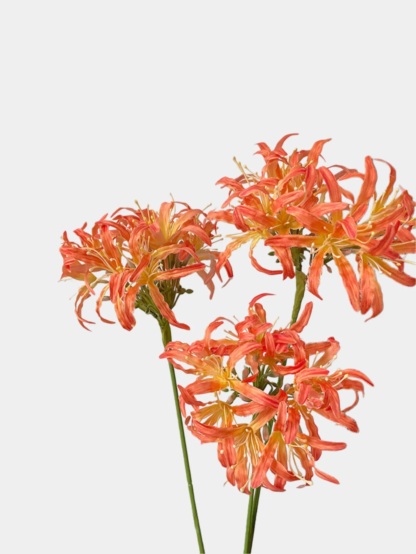 Faux Moonlight Star Agapanthus -31"