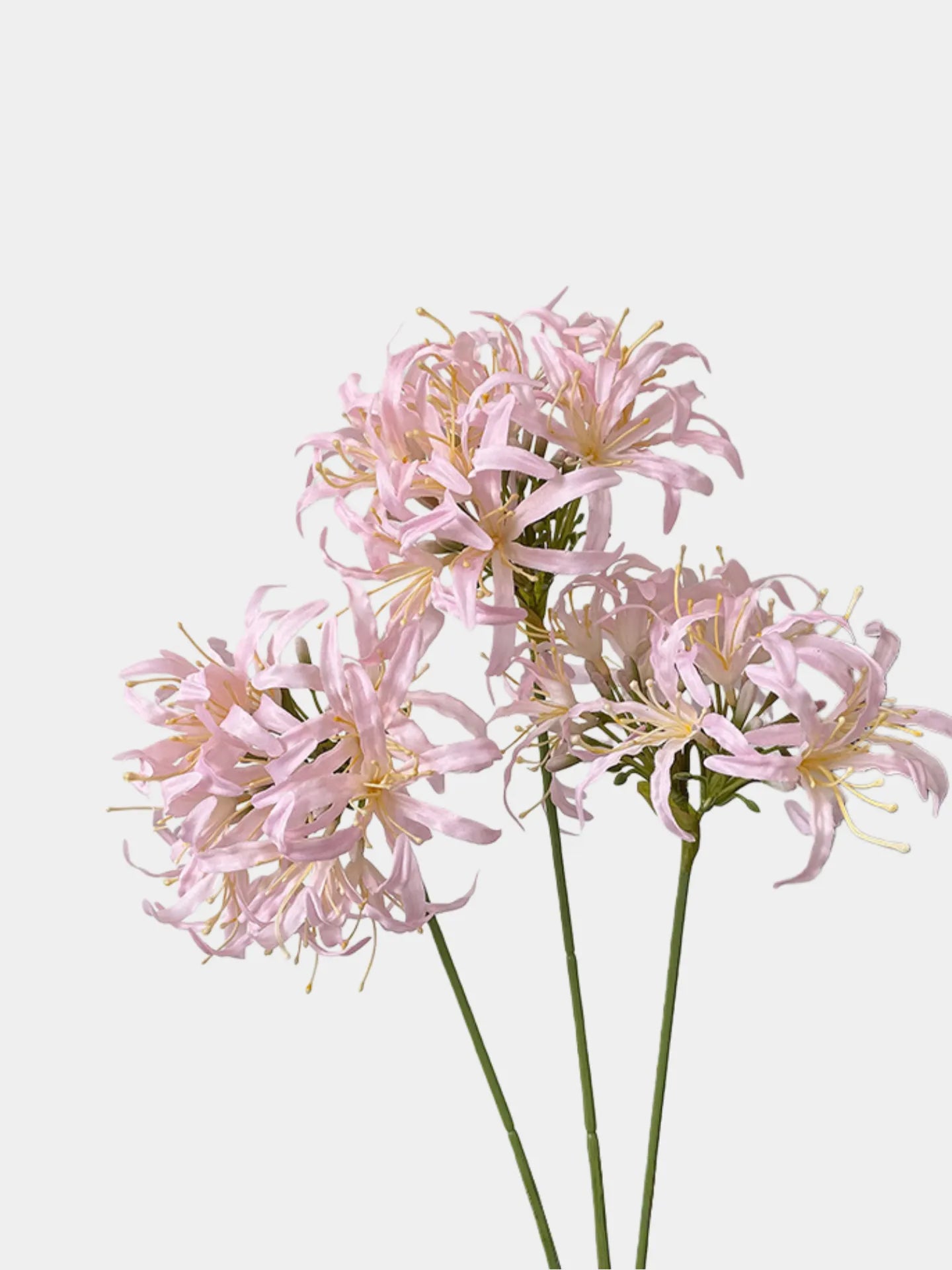 Faux Moonlight Star Agapanthus -31"
