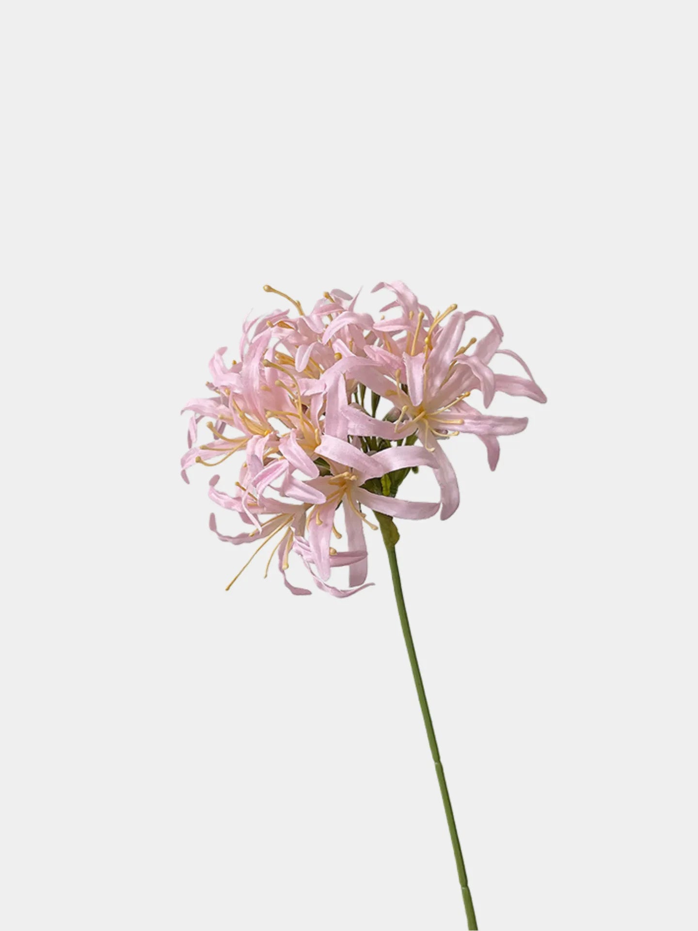 Faux Moonlight Star Agapanthus -31"
