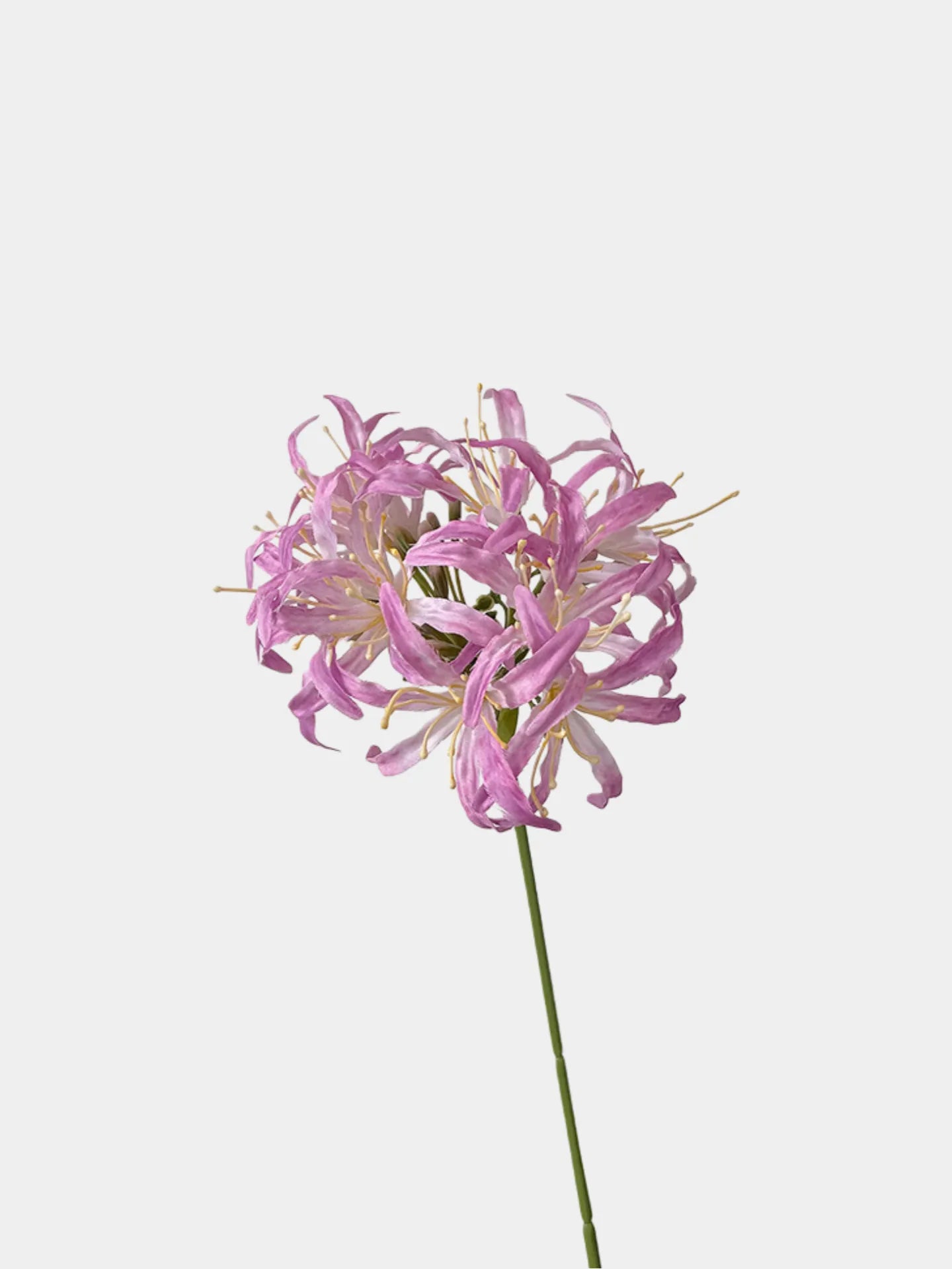 Faux Moonlight Star Agapanthus -31"