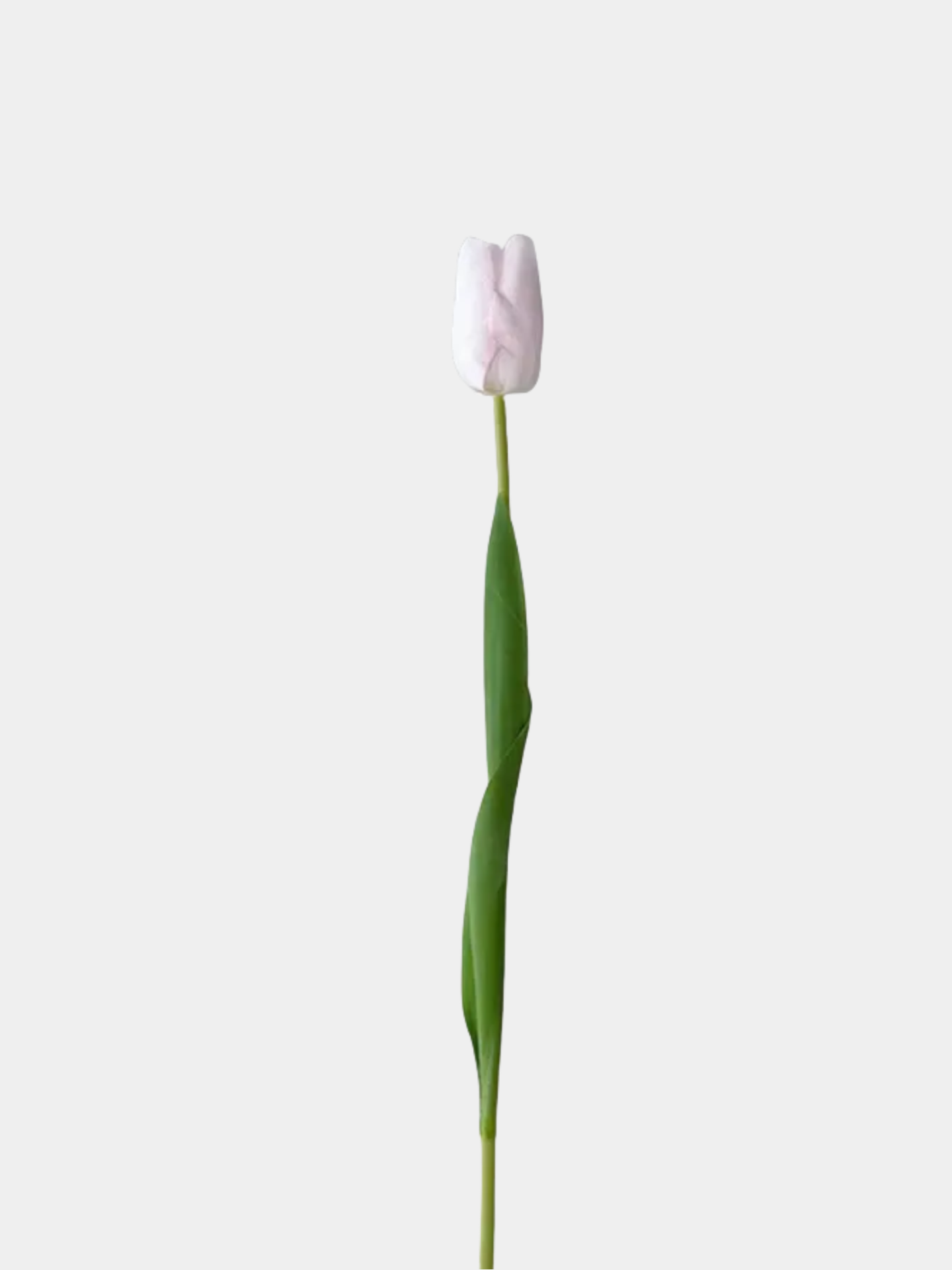 Faux Real Touch Cream Creamy Pink Tulip 18"