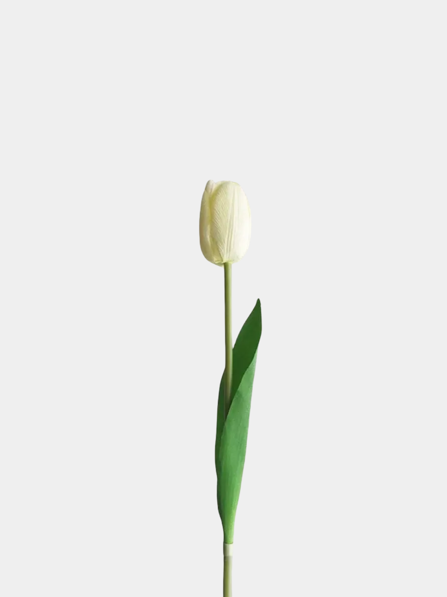 Künstliche Real Touch Cremeweiße Tulpe 45,7 cm