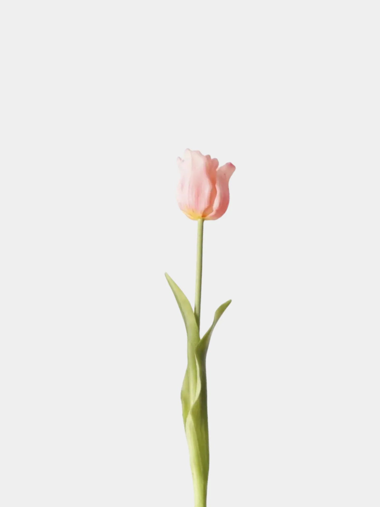 Künstliche Tulpen – Einzelstiel oder Bündel – Rosa