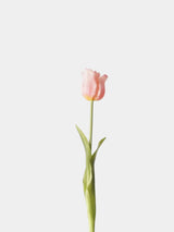 Künstliche Tulpen – Einzelstiel oder Bündel – Rosa