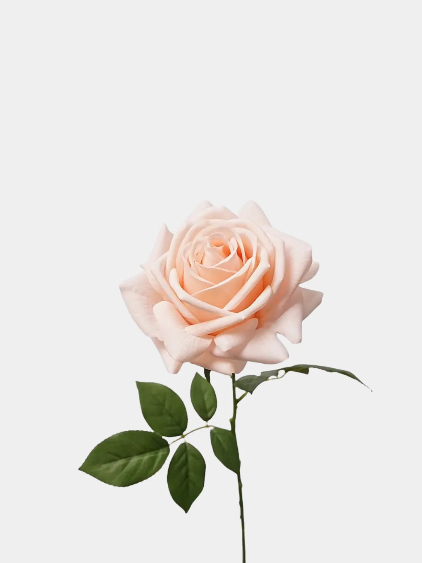 リアルタッチフェイクトルコローズ -26"