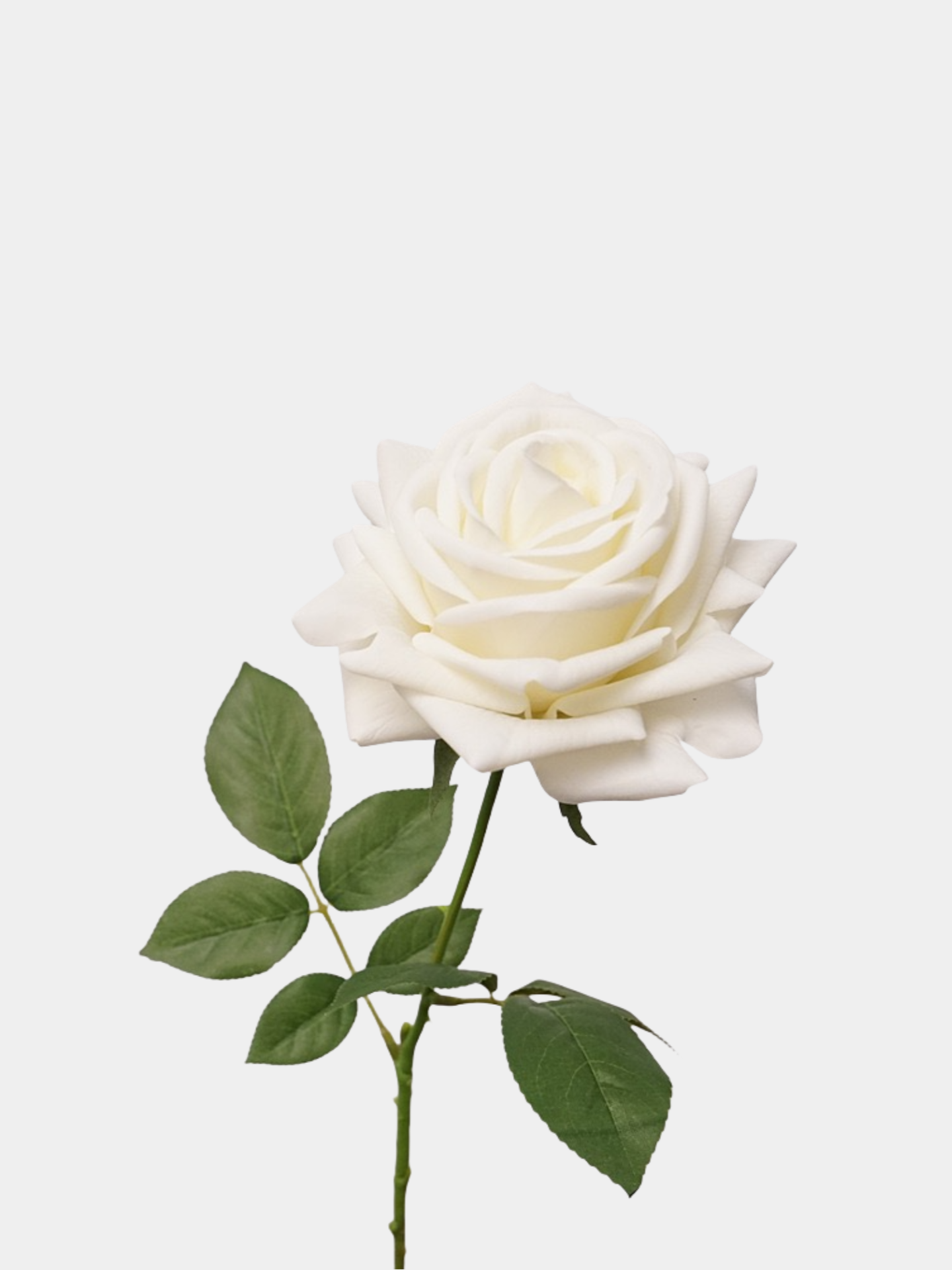 リアルタッチフェイクトルコローズ -26"