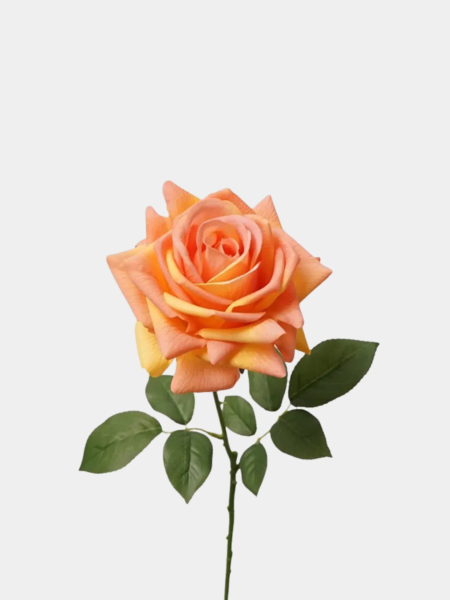 リアルタッチフェイクトルコローズ -26"