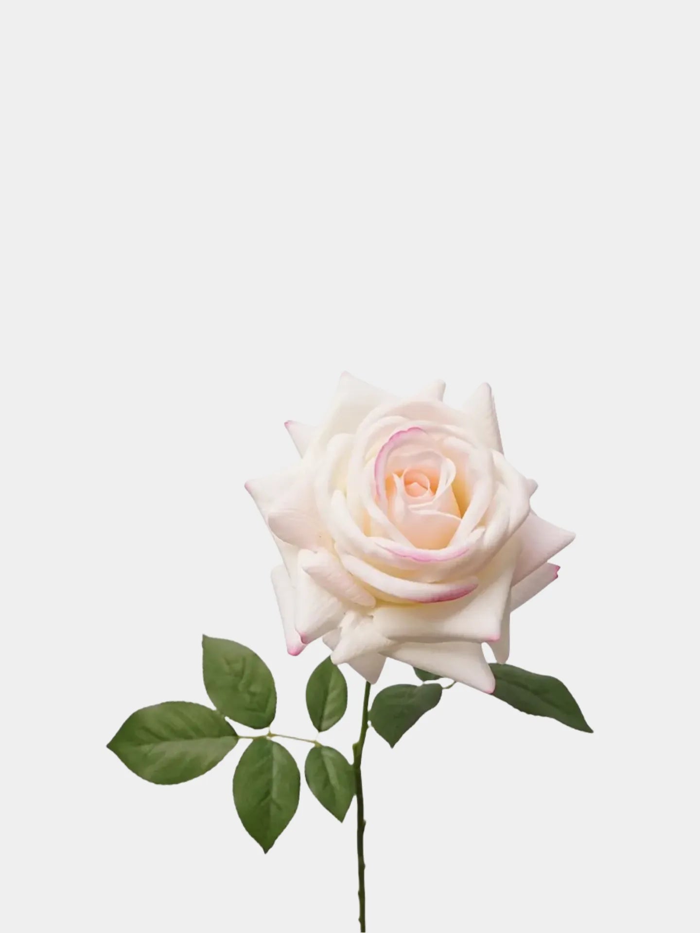 リアルタッチフェイクトルコローズ -26"