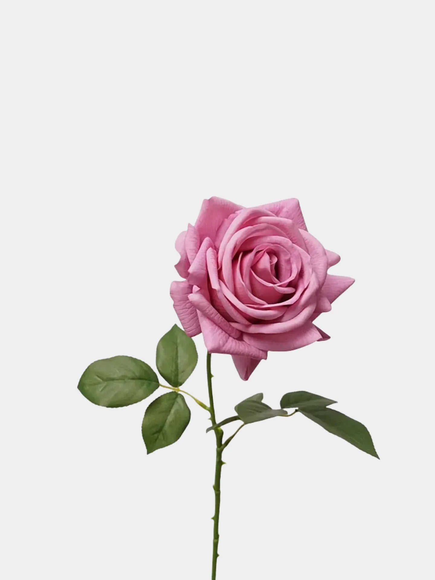 リアルタッチフェイクトルコローズ -26"