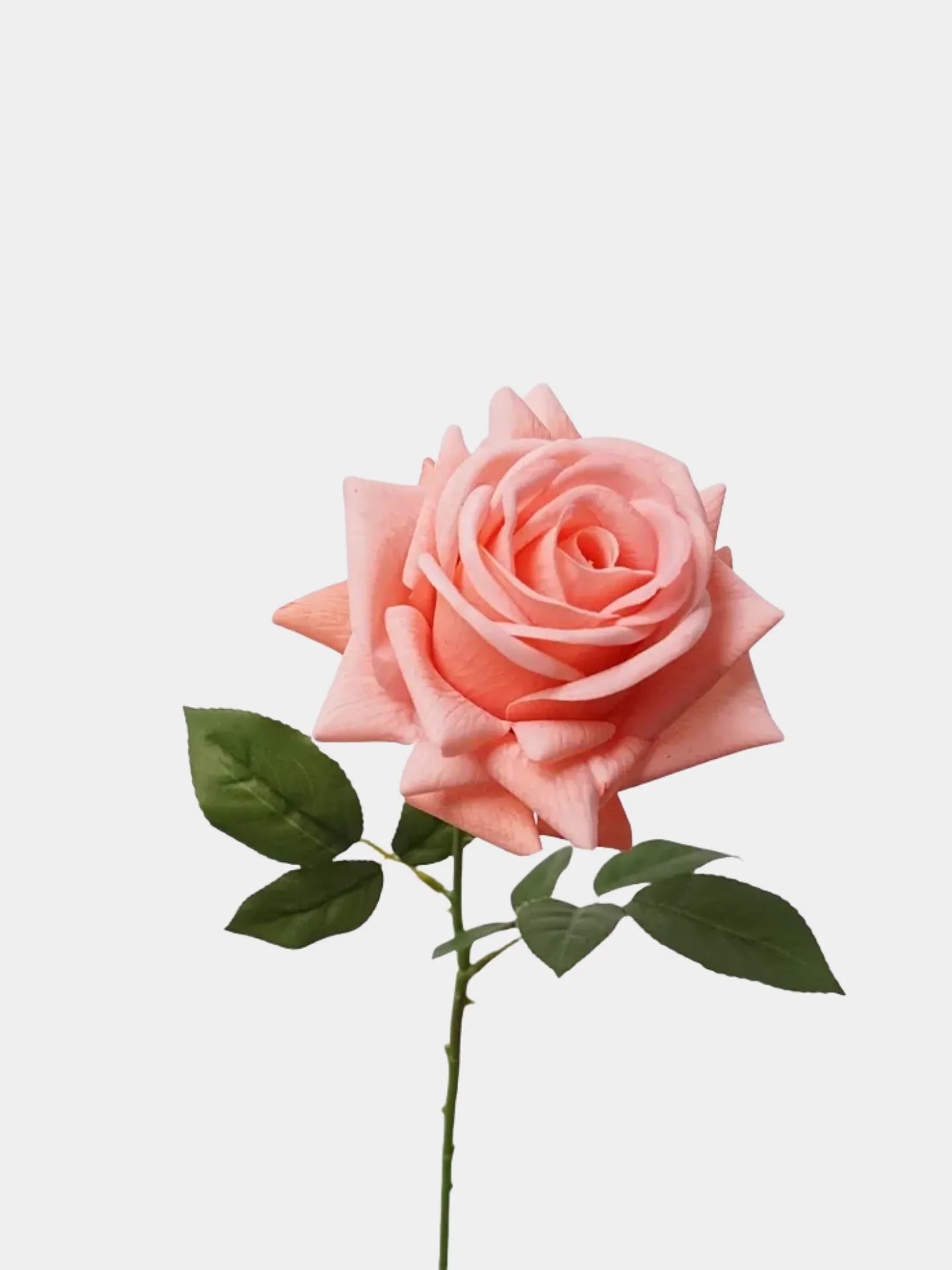 リアルタッチフェイクトルコローズ -26"