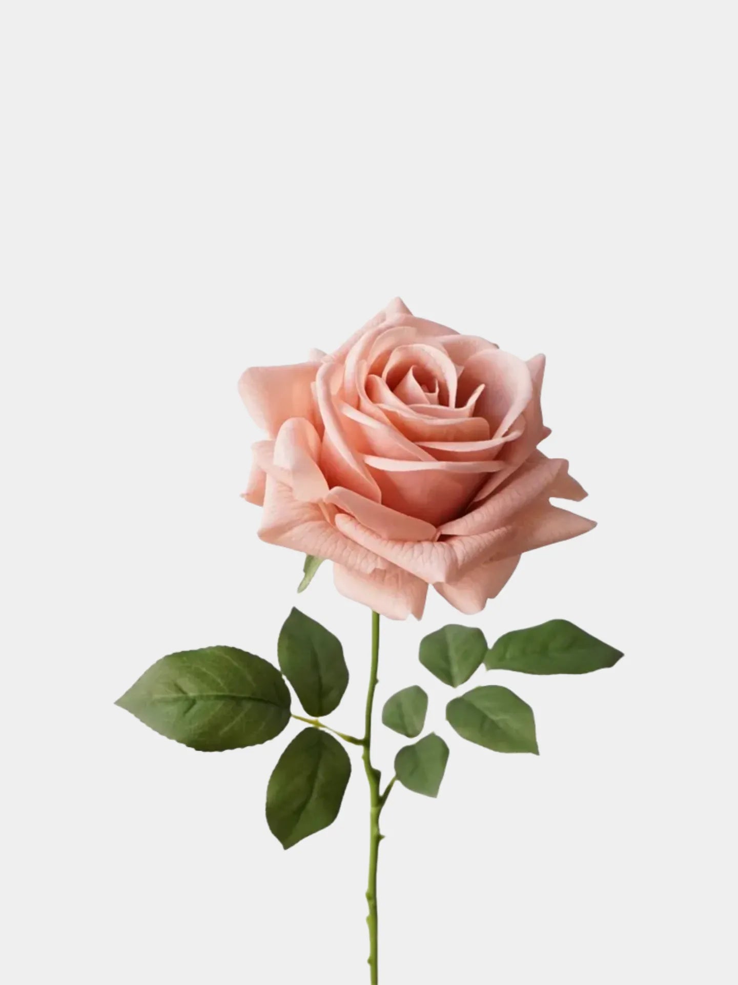 リアルタッチフェイクトルコローズ -26"