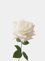 リアルタッチフェイクトルコローズ -26"