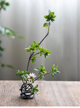 Flexible Japanese Metal Flower Frog/ Ikebana Kenzan