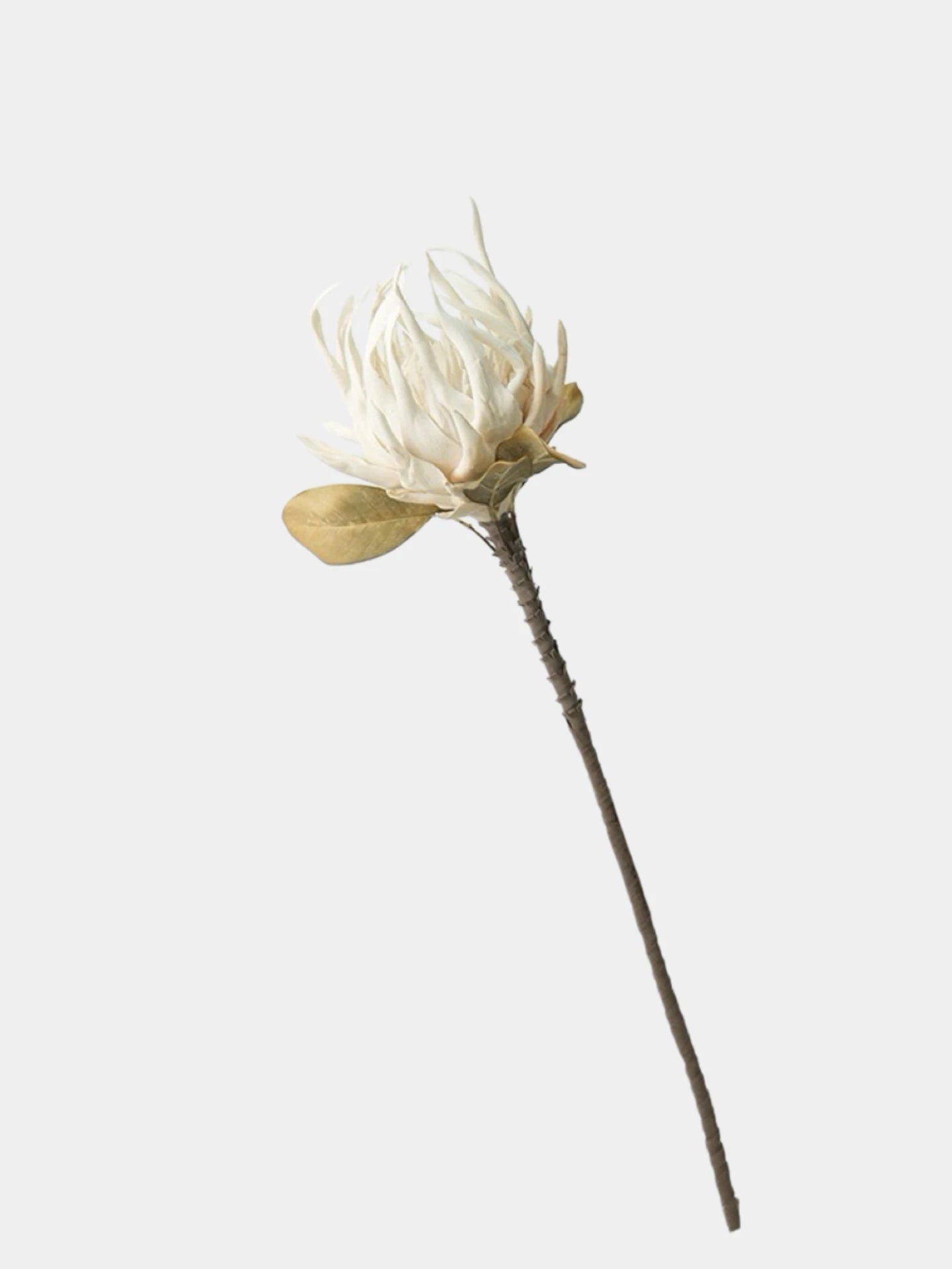 Giant Artificial King Protea Stem – 38.5"