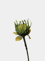 Giant Artificial King Protea Stem – 38.5"