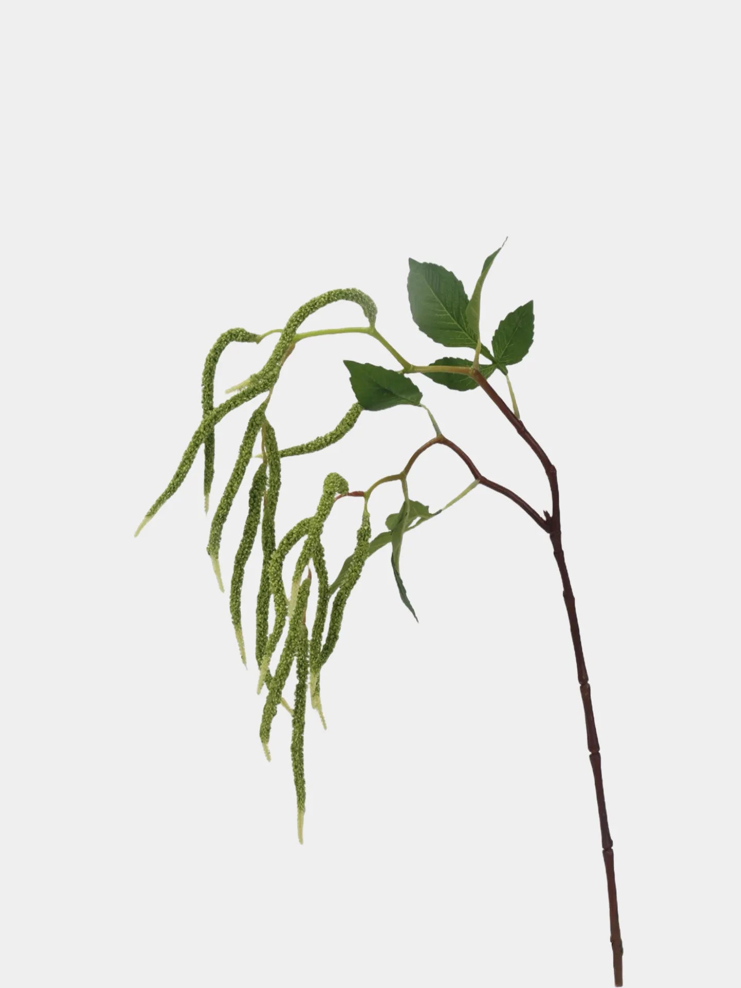 グリーン フェイク アマランサス ブランチ -27.5"