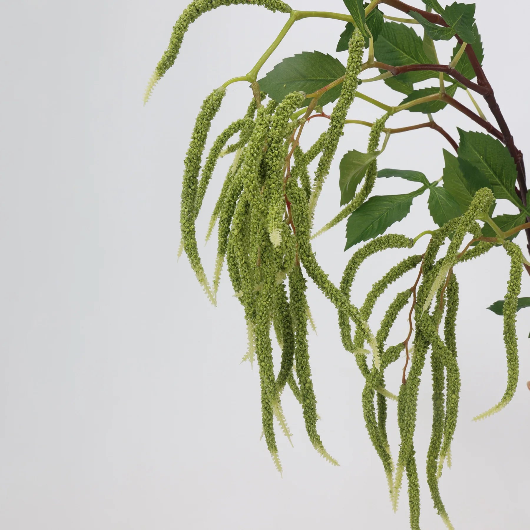 グリーン フェイク アマランサス ブランチ -27.5"