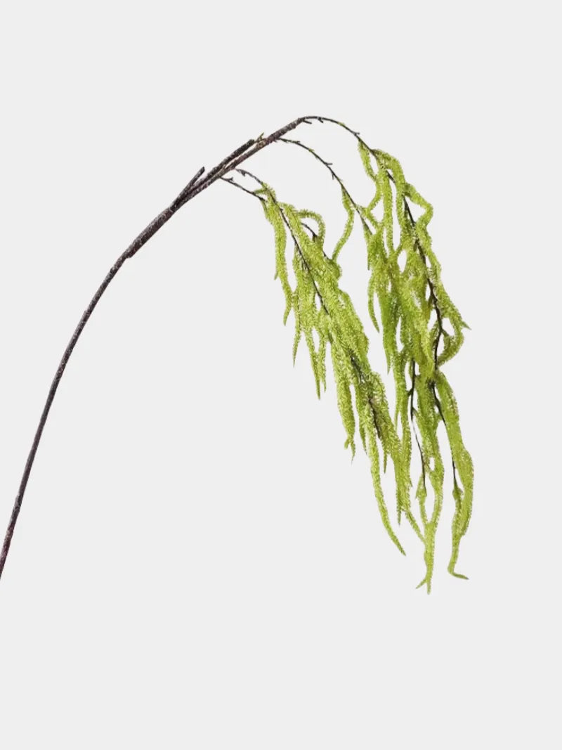 グリーンフェイクアマランサスステム