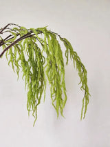 グリーンフェイクアマランサスステム