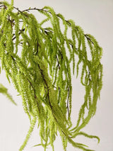 グリーンフェイクアマランサスステム