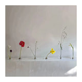 楽しいクリアガラスの生け花用花瓶（けんざん付き）