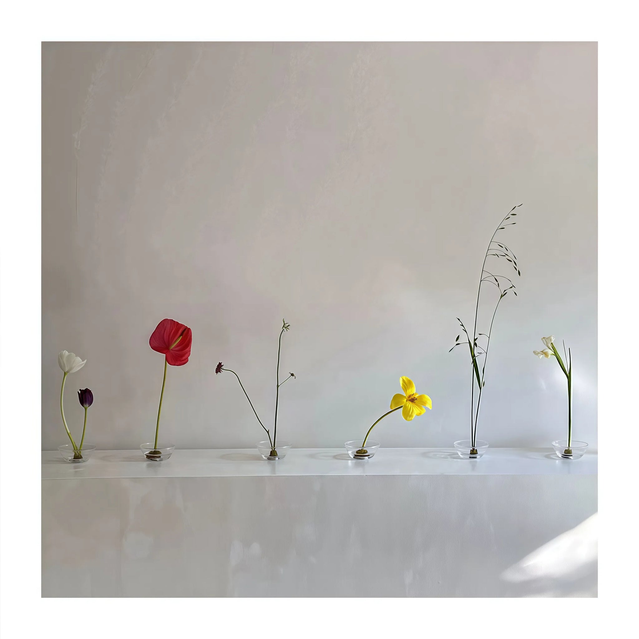 楽しいクリアガラスの生け花用花瓶（けんざん付き）