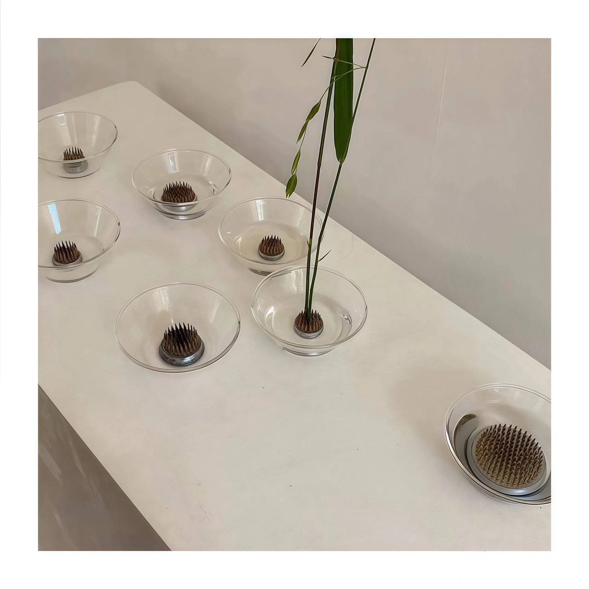 楽しいクリアガラスの生け花用花瓶（けんざん付き）