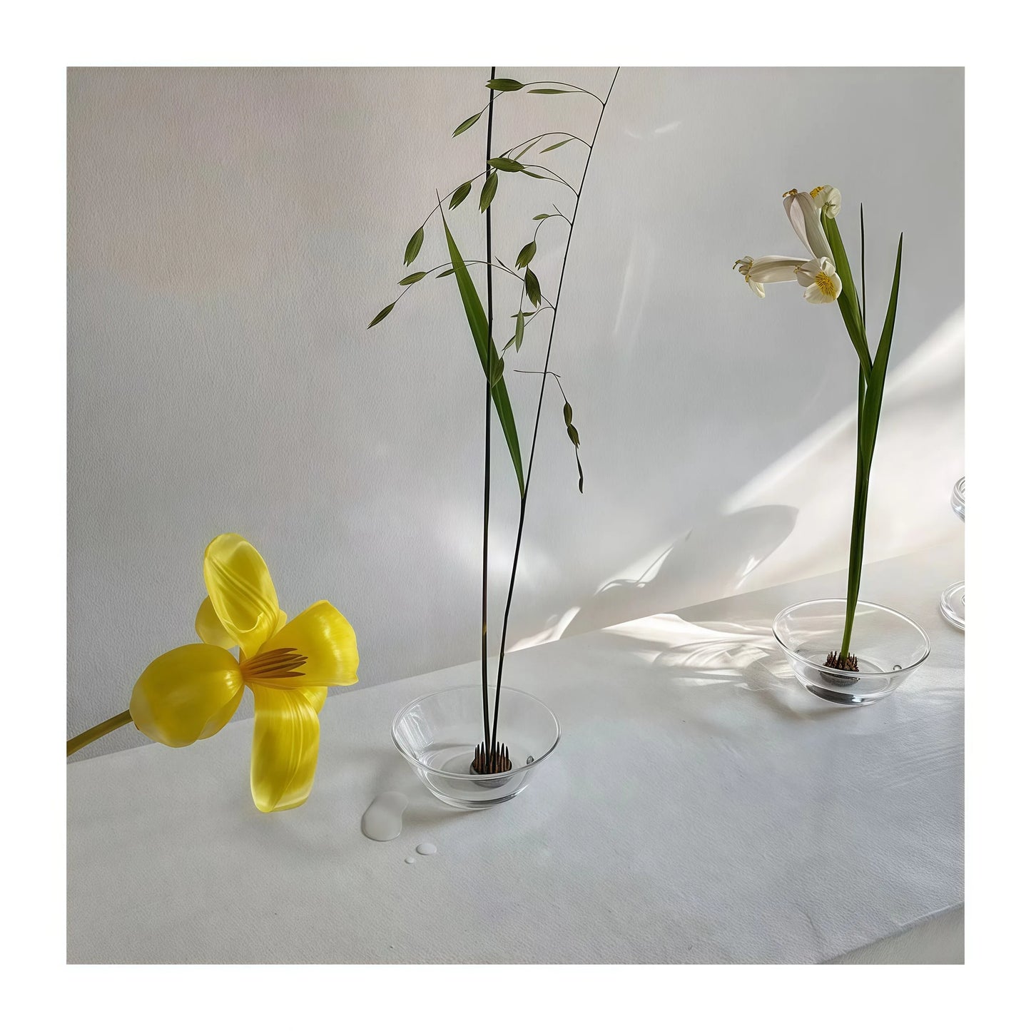 楽しいクリアガラスの生け花用花瓶（けんざん付き）