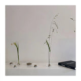 楽しいクリアガラスの生け花用花瓶（けんざん付き）