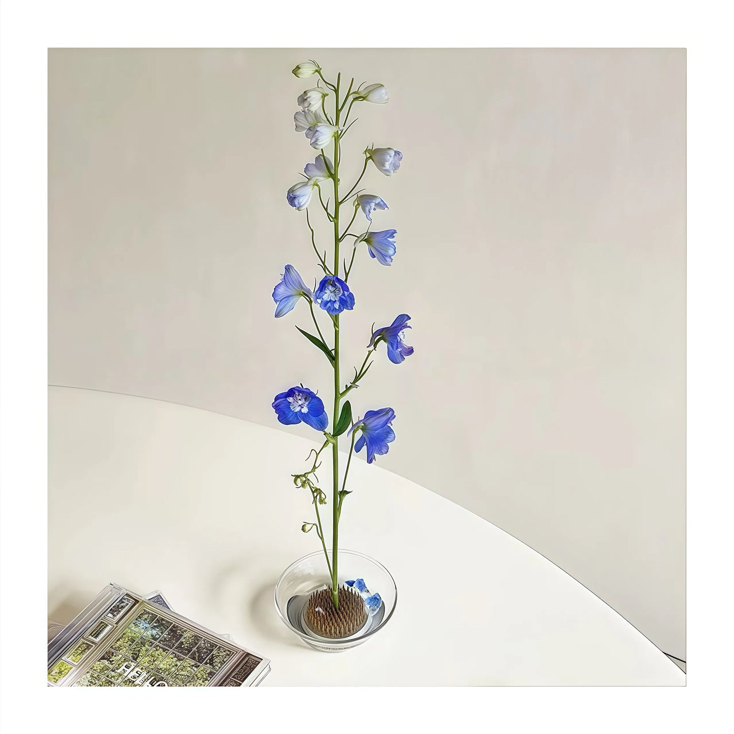 楽しいクリアガラスの生け花用花瓶（けんざん付き）