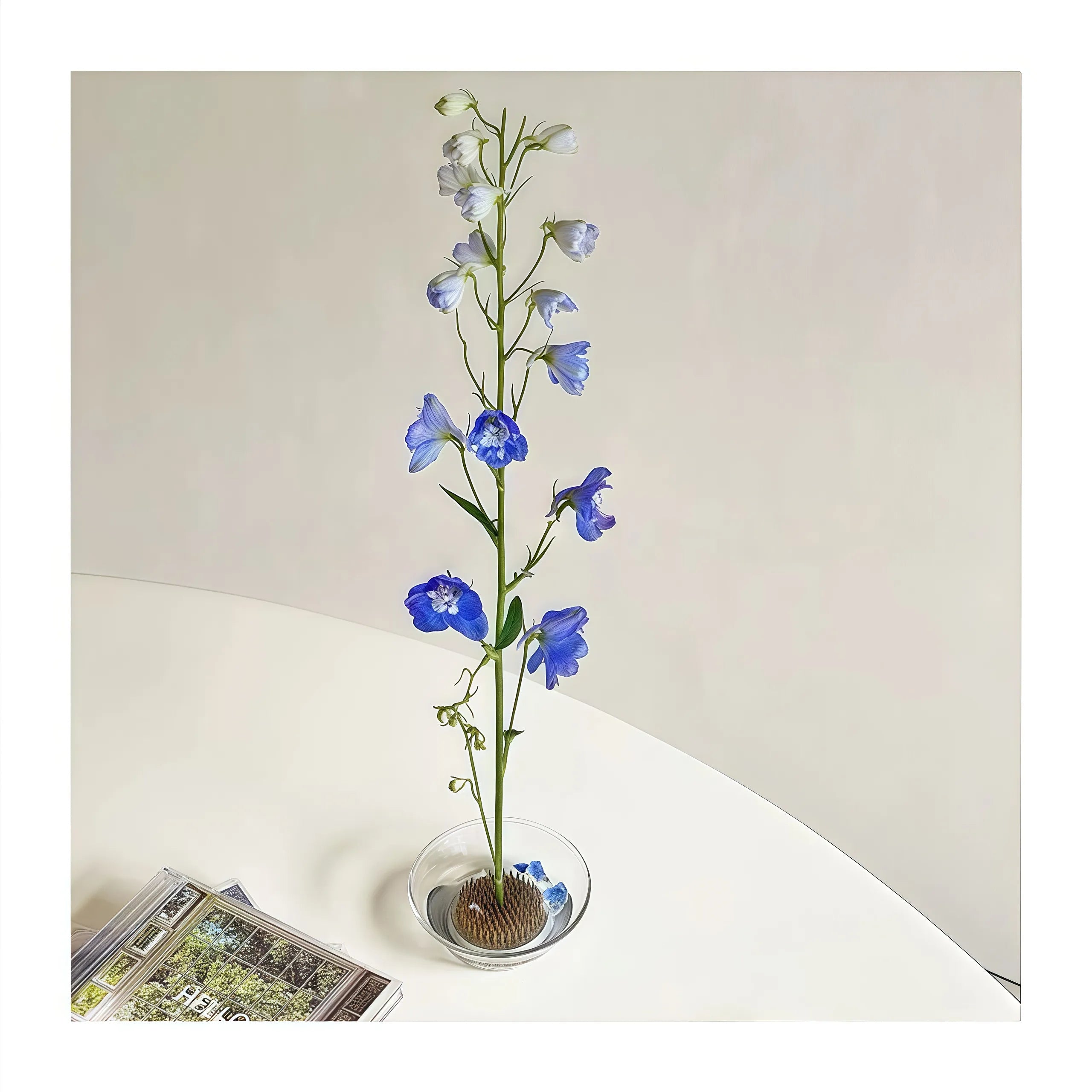 Joyful Clear Glass Ikebana Vase with Flower Frog (Kenzan)