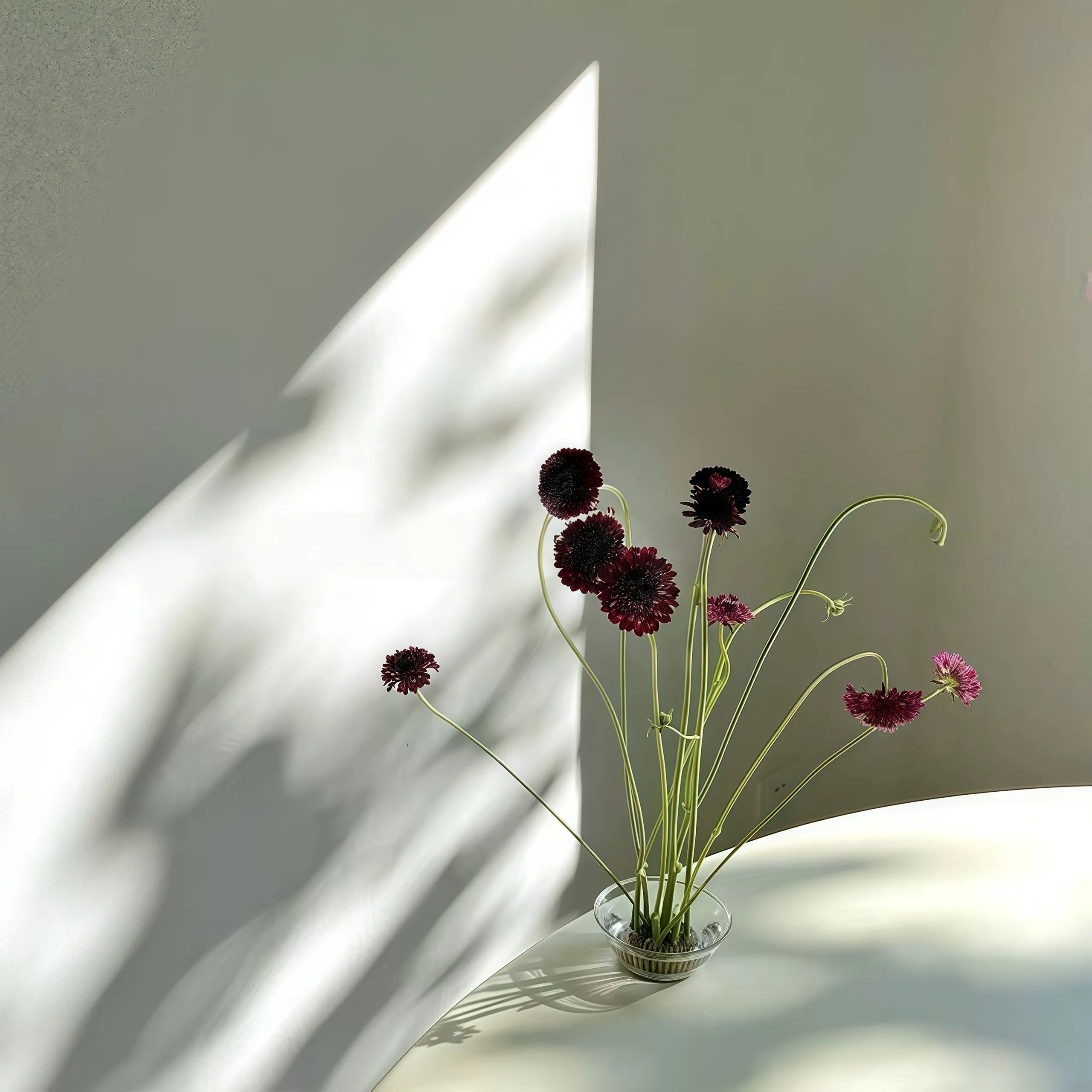 Joyful Clear Glass Ikebana Vase with Flower Frog (Kenzan)