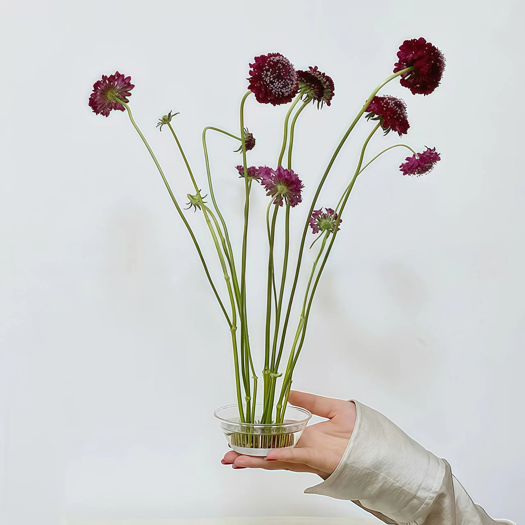 楽しいクリアガラスの生け花用花瓶（けんざん付き）