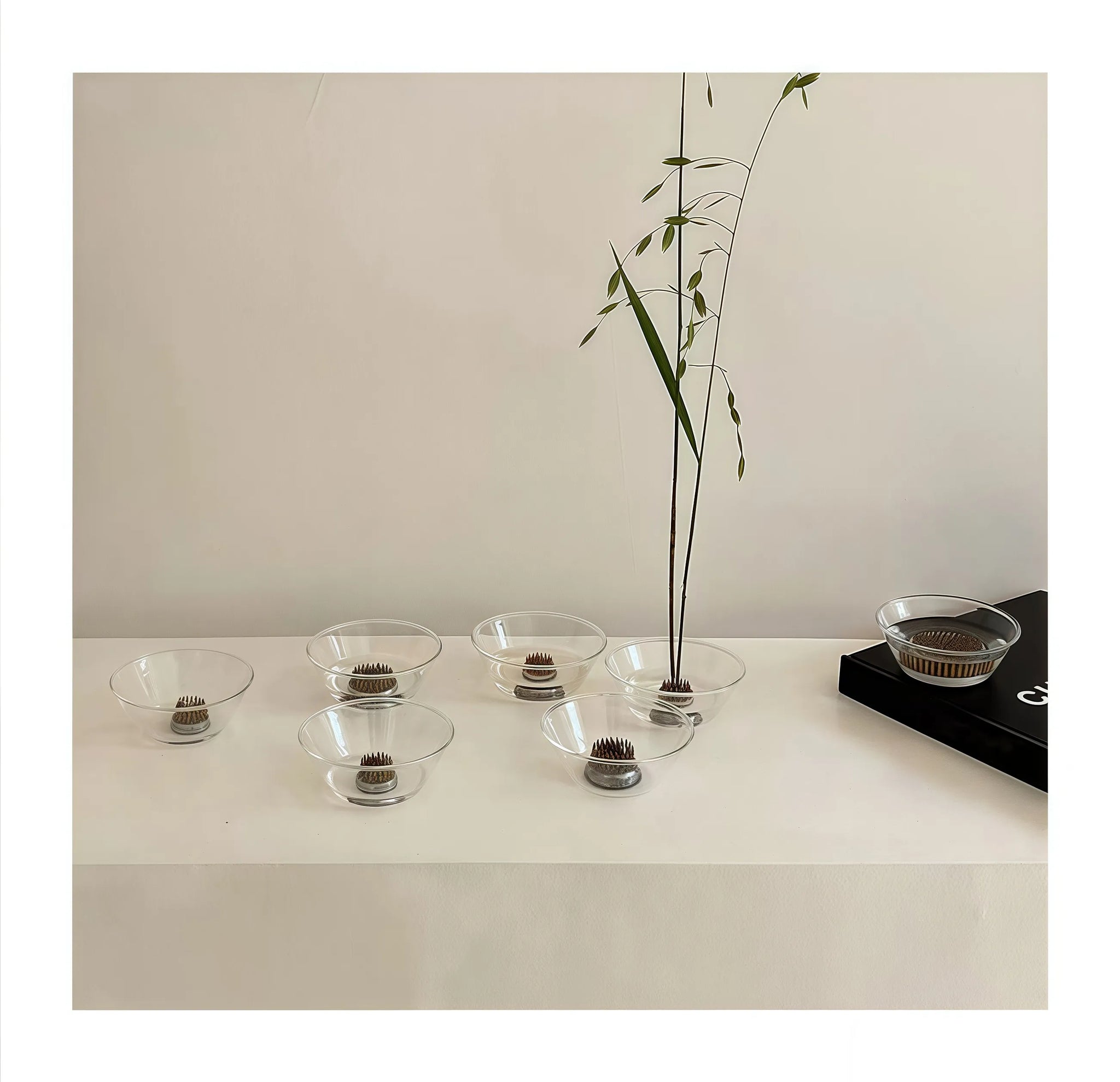 楽しいクリアガラスの生け花用花瓶（けんざん付き）