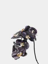 Premium Künstliche Phalaenopsis-Orchidee in Schwarz – 91 cm