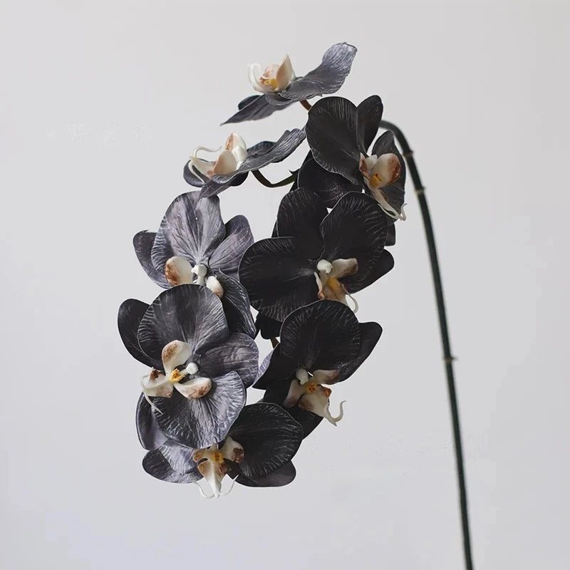 Premium Künstliche Phalaenopsis-Orchidee in Schwarz – 91 cm