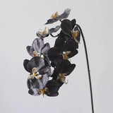Premium Künstliche Phalaenopsis-Orchidee in Schwarz – 91 cm