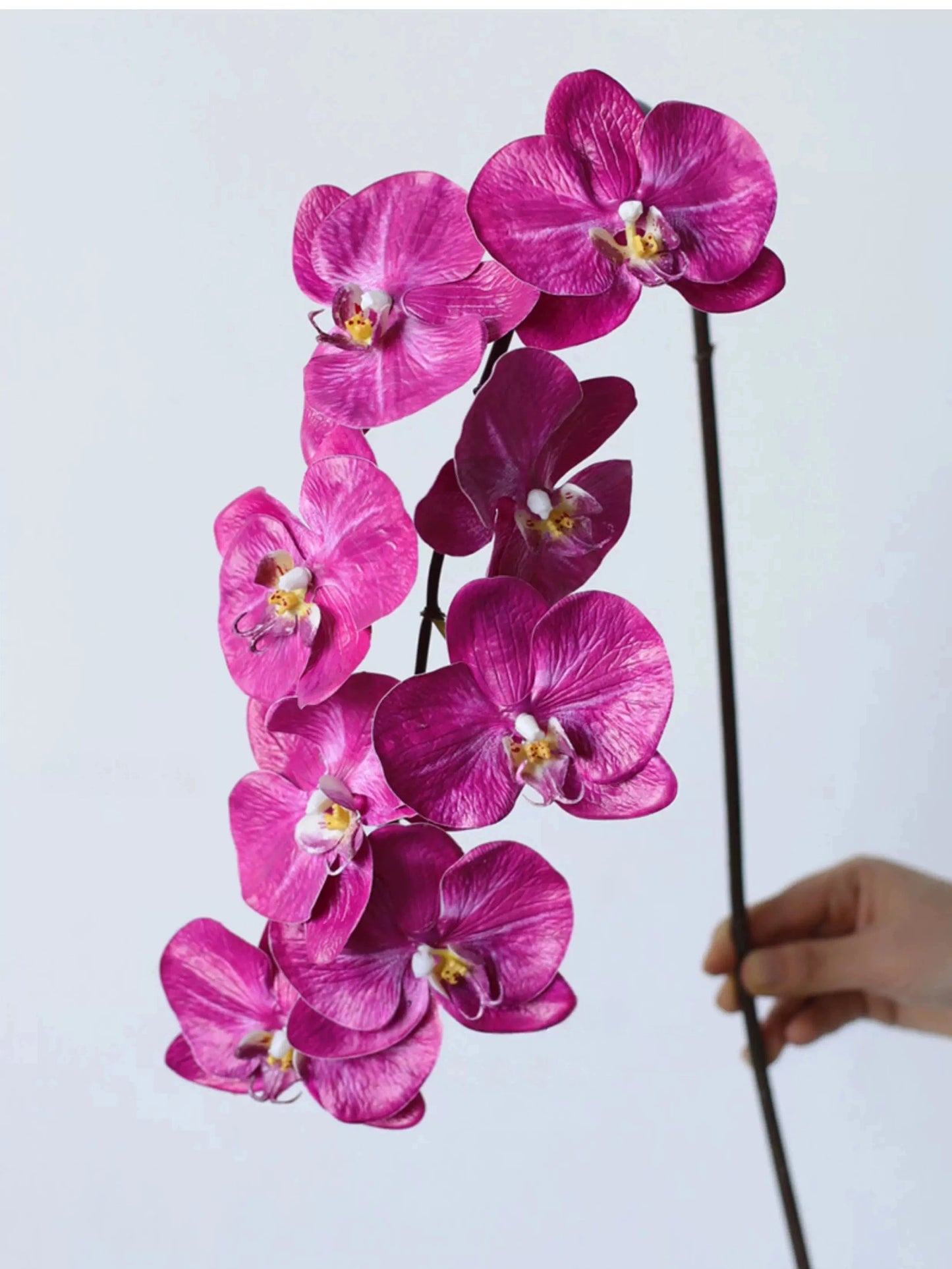 Premium Phalaenopsis-Orchidee „Real Touch“ in Pink – 91 cm