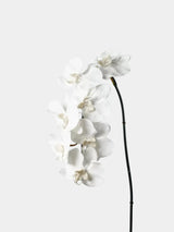 Premium Real Touch Phalaenopsis-Orchidee in Weiß – 91 cm