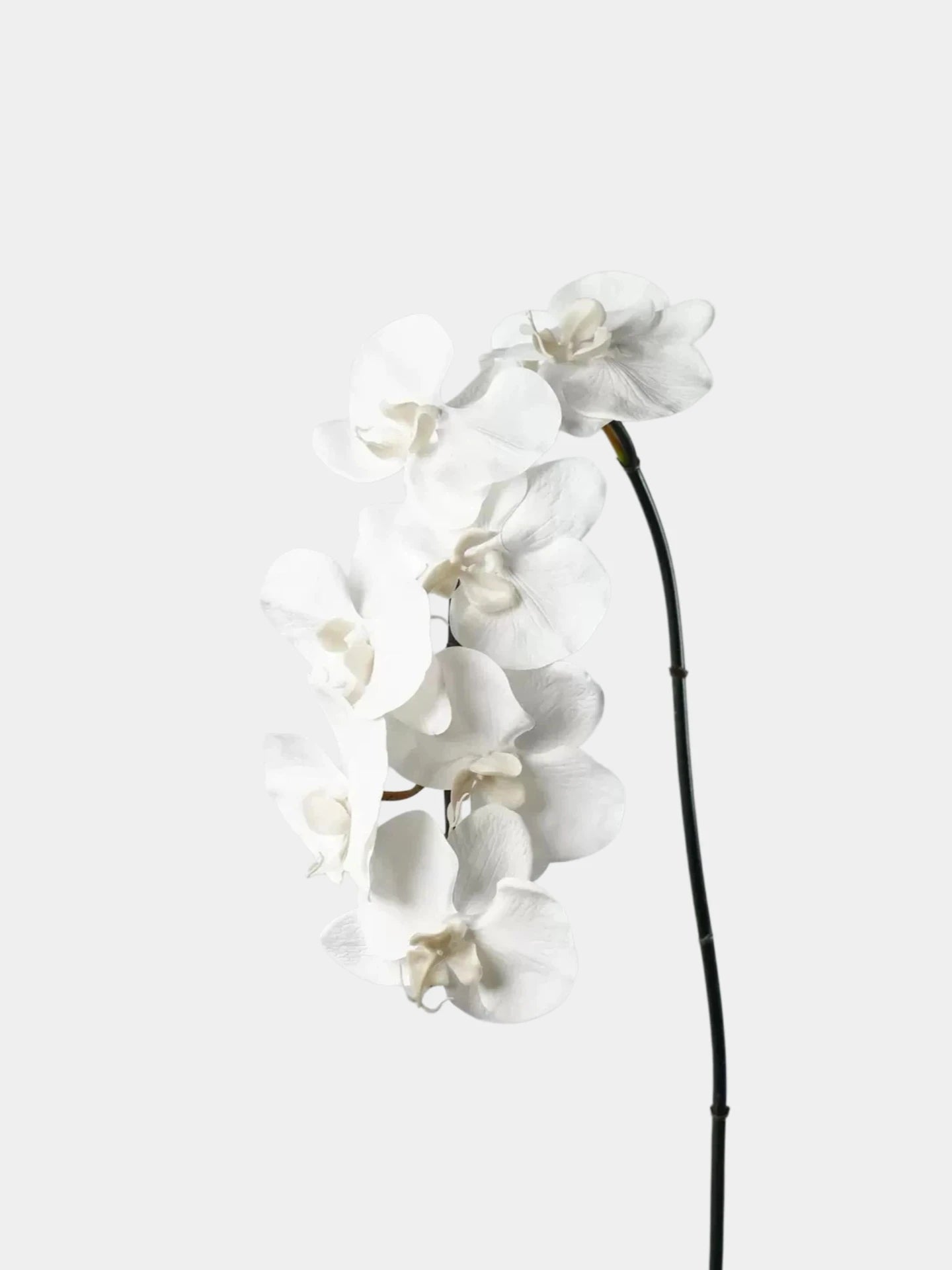 Premium Real Touch Phalaenopsis-Orchidee in Weiß – 91 cm