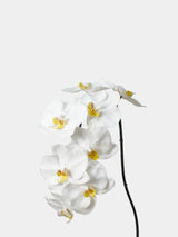 Premium Real Touch Phalaenopsis-Orchidee in Weiß – 91 cm